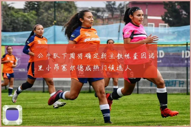 公牛队下周将确定新主教练奎因诺里小昂塞尔德成热门候选人