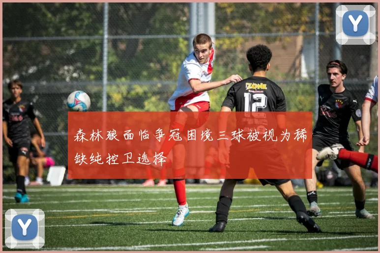 森林狼面临争冠困境三球被视为稀缺纯控卫选择